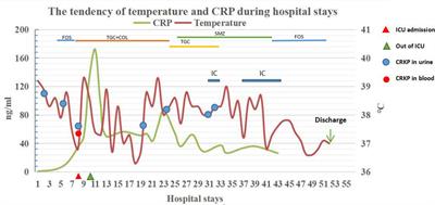 A case report: Intermittent catheterization combined with rehabilitation in the treatment of carbapenem-resistant Klebsiella pneumoniae catheter-associated urinary tract infection